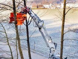 Westtech Woodcracker CL320 Fällkopf Fällgreifer