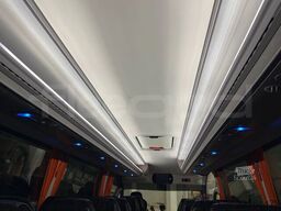 Mercedes-Benz Mago