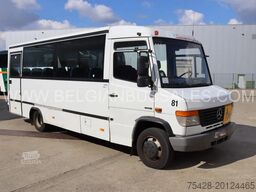 Mercedes Vario Joost