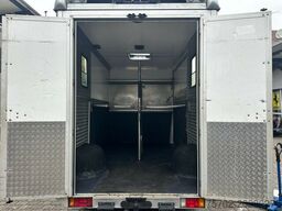 Renault Master 1-2 Pferdetransporter