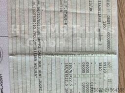 MERCEDES-BENZ Actros 2548 /Spitzer Silo Food Getreide /LKW+ANH