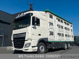 DAF XF 450  Menke-Janzen 3 Stock Hubdach