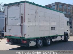 DAF XF 450  Menke-Janzen 3 Stock Hubdach