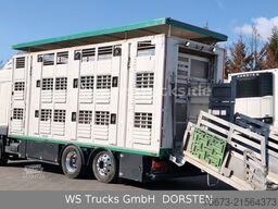 DAF XF 450  Menke-Janzen 3 Stock Hubdach