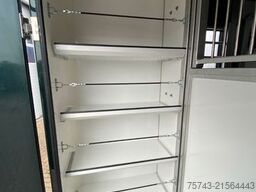 RENAULT Master STX 5 Sitzer Haras ex. Lang Automatik