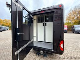 RENAULT Master STX Haras 5 Sitzer TÜV NEU