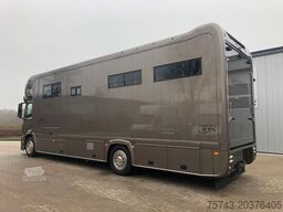 MERCEDES-BENZ ANTOS 1830 STX . POP-OUT 5 Pferde