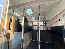 MERCEDES-BENZ ANTOS 1830 STX . POP-OUT 5 Pferde