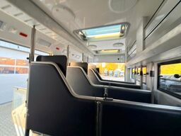 MERCEDES-BENZ ANTOS 1830 STX . POP-OUT 5 Pferde