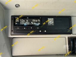 Astra HD9 84.50 Betonmischer CIFA 13cmb 8x4