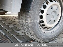 MERCEDES-BENZ Sprinter II Pritsche/DoKa 310/311/313/314/316 CD