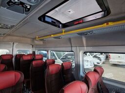  2 x Opel Movano, 3 x Fiat Ducato 18 Sitzer Jumpe