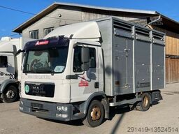 MAN TGL 12.220 4x2  Viehtransport Bj 10