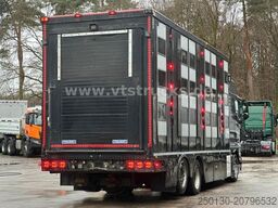 MAN TGX 26.500 4. Stock Menke-Janzen Viehtransporter
