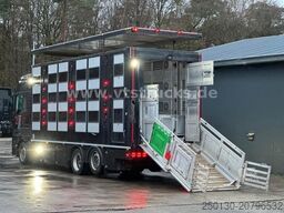 MAN TGX 26.500 4. Stock Menke-Janzen Viehtransporter