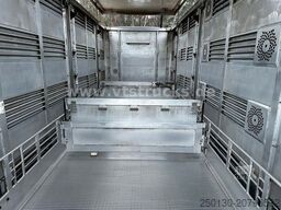 MAN TGX 26.500 4. Stock Menke-Janzen Viehtransporter