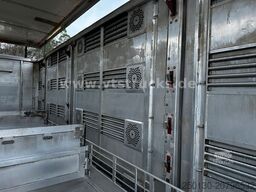 MAN TGX 26.500 4. Stock Menke-Janzen Viehtransporter