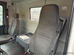 SCANIA G490 10x4 Moser 2S