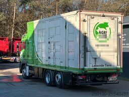 MAN TGS 26.480 6x2 LL 3.Stock Menke