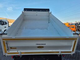 Iveco AT190T36W/P 4x4 Allrad, Meiller-Dreiseitenkipper