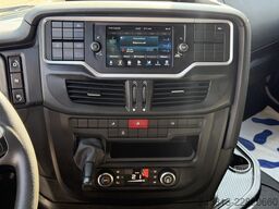 Iveco Sway 490