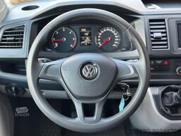 VW T6 Transporter Kasten-Plus Trendline