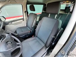 VW T6 Transporter Kasten-Plus Trendline