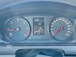 VW T6 Transporter Kasten-Plus Trendline