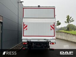 DAF XB 290 FA 16 to Pritsche Schiebeplane LBW