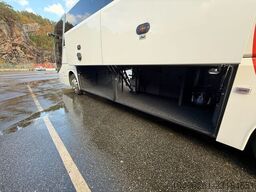Man Lion`S Coach