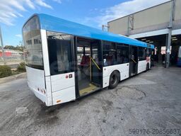 Solaris Urbino