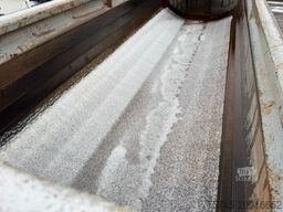 SCANIA R 540 * SCHWARZMÜLLER  MIT SCHUB ACH SAF TRUCK *