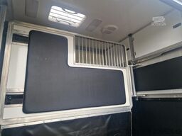 Opel Movano Occasion paardenwagen STX S3 Pro-Safety ...