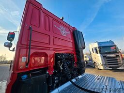 DAF XF 480 * KIPPHYDR. * ACC * RETARDER * STANDHEIZ