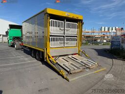 Krukenmeier FG80P SDAH Viehtransporter KABA Aufbau Trommelbremse