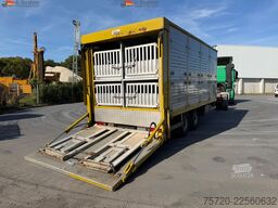 Krukenmeier FG80P SDAH Viehtransporter KABA Aufbau Trommelbremse