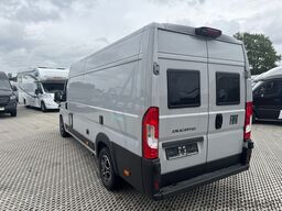 AFFINITY AFFINITY FREEDO 636 Premium