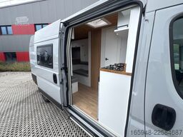 AFFINITY AFFINITY FREEDO 636 Premium