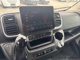AFFINITY AFFINITY FREEDO 636 Premium
