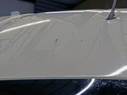 FORD Transit 350 TDCI L3H3 Trend Klima Express #T469