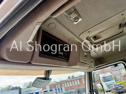 Renault Lander 380 6x2/Fassi F290A 24 Funk/Eu5/Liftachs...