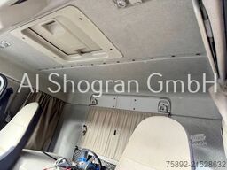 Renault Lander 380 6x2/Fassi F290A 24 Funk/Eu5/Liftachs...