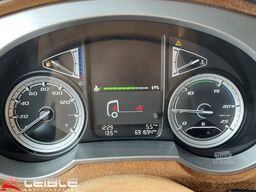 DAF XF480 SSC*Retarder*Alcoa*Standklima*Skylights