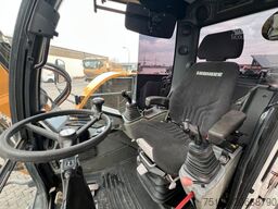 LIEBHERR A 910 C Litronic / 2.381h / SW33