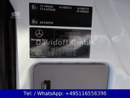 MERCEDES-BENZ Sprinter II Kasten 210 CDI / Nr. 174