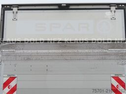  Geser TKA 18 Kühlkoffer Carrier Vector LBW