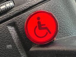 MERCEDES-BENZ Sprinter 313 Cdi Maxi Flex-i-Trans 9 Sitze+Lift