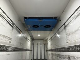 Scania P250 / 392 dkm / Reefer -50 gr DuoTemp / Frigo ...