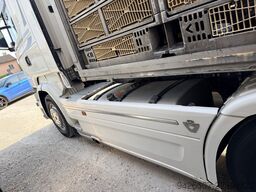SCANIA R 520
