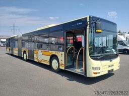 MAN Lion´s City Gelenkbus Klima